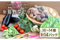 旬を味わう 糸島 野菜 セット 10～14種（計14パック） / イタリア野菜 オーガニック 野菜ソムリエ 松永《糸島》【vegeLabo】[AJB001]