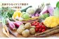 野菜 やさい 詰め合わせ セット 旬 イタリア オーガニック 根菜 果菜