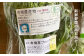 野菜 やさい 詰め合わせ セット 旬 イタリア オーガニック 根菜 果菜