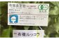 野菜 やさい 詰め合わせ セット 旬 イタリア オーガニック 根菜 果菜