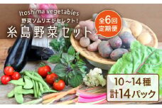 【全6回定期便】旬を味わう 糸島 野菜 セット 10～14種 （14パック） / イタリア野菜 オーガニック 野菜ソムリエ 松永 糸島市 / vegeLabo [AJB002]