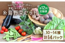 【全12回定期便】旬を味わう 糸島 野菜 セット 10～14種 （14パック） / イタリア野菜 オーガニック 野菜ソムリエ 松永 糸島市 / vegeLabo [AJB003]