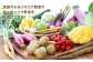 野菜 やさい 詰め合わせ セット 旬 イタリア オーガニック 根菜 果菜