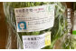 野菜 やさい 詰め合わせ セット 旬 イタリア オーガニック 根菜 果菜