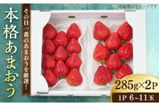 【その日一番のあまおうを即日出荷！】 本格 あまおう ( 285g × 2パック) いちご 苺 糸島市 / みのりのりん [ABD002] ランキング 上位 人気 おすすめ