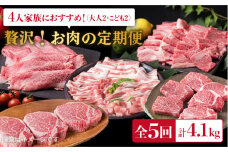 美味しさ 満載 ！ 贅沢お 肉 セット の 定期便 全5回 （月1回） 4人 家族用 【福岡 糸島産 牛肉 豚肉 鶏肉 ステーキ しゃぶしゃぶ すき焼き ヒレ シャトーブリアン ロース】 《糸島》 【糸島ミートデリ工房】 [ACA083]