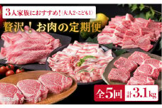 美味しさ 満載 ！ 贅沢 お肉 セット の 定期便 全5回（月1回） 3人 家族用 【福岡 糸島産 牛肉 豚肉 鶏肉 ステーキ しゃぶしゃぶ すき焼き ヒレ シャトーブリアン ロース 】 糸島 / 糸島ミートデリ工房 [ACA084] 定期便 博多 和牛
