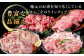 鍋セット なべ 鶏肉 鶏 肉団子 肉だんご つみれ