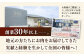 牛肉 焼肉 国産 ホルモン ホルモンミックス 焼肉 ホルモン鍋 セット 和牛