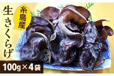 生きくらげ 100g × 4P 福岡県糸島産 糸島市/糸島きのこファーム [AFC004]