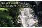 自然栽培にこだわった安心・安全の国産農薬不使用栽培です。