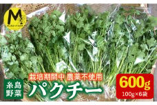 糸島産 パクチー 600g ( 100g × 6袋 )   糸島市 / MURA FARM [AFD001]