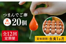 【全12回定期便】つまんでご卵 20個セット 定期便 (月1回) 卵 たまご 《糸島》【緑の農園】 [AGA010] ランキング 上位 人気 おすすめ