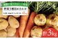 カレー シチュー 肉じゃが用　農薬・化学肥料不使用