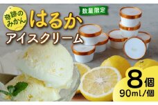 【 限定 25セット ！ 】 はるか みかん アイス クリーム 8個 セット 《糸島市》【あいしん食品株式会社】 [AGI001] フルーツ