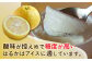 糸島名産の「はるかみかん」をおいしいアイスクリームにしました！
