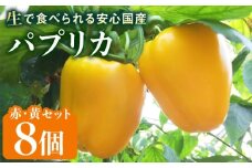 糸島産 肉厚 パプリカ 8個  福岡県  糸島市 / シーブ [AHC031] 野菜 ピーマン
