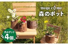 《 森のポット 》 カルテット （ 4個 セット ） 《糸島》 【木工房moquc0mo】 [AHF001]