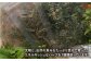 自然豊かな糸島で、農薬不使用・露地栽培で育てたハーブ