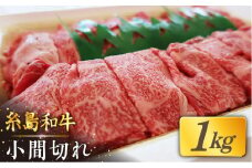 【月限定10個】希少 和牛 糸島 和牛 こまぎれ 1kg 糸島 / トラヤミートセンター [AJD003] 和牛 こまぎれ 1kg
