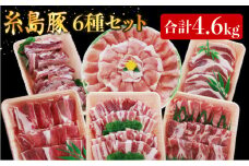 合計4.6kg！糸島豚 食べ尽くし セット ( とんかつ / 肩ロース / しゃぶしゃぶ / 豚バラ / スペアリブ / 小間切れ ) 糸島 / トラヤミートセンター [AJD005] 国産 豚肉 とんかつ