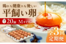 【 全3回 定期便 】  平飼い 卵  「 天上卵 」 20個 セット 《糸島》【株式会社おおはまファーム】 [AKH002]