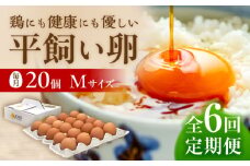 【 全6回 定期便 】  平飼い 卵 「 天上卵 」 20個 セット 《糸島》【株式会社おおはまファーム】 [AKH003]