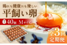 【 全3回 定期便 】  平飼い 卵  「 天上卵 」 40個 セット 《糸島》【株式会社おおはまファーム】[AKH006]