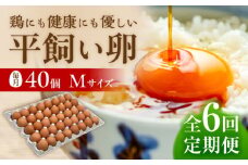 【 全6回 定期便 】  平飼い 卵  「 天上卵 」 40個 セット 《糸島》【株式会社おおはまファーム】[AKH007]