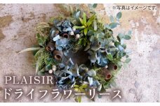 ドライフラワー リース 《糸島》【PLAISIR】花 装飾 緑 インテリア アレンジメント [ANC001]