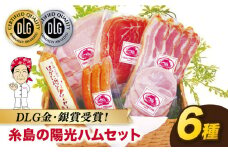 ＼DLG金賞・銀賞受賞！／糸島の陽光 ハム 6種 セット 糸島市 / 志摩スモークハウス ハム ソーセージ 食べ比べ[AOA001]