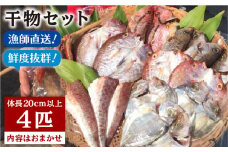 干物 セット 4点 （ 1匹 20cm 以上 ） マダイ 《糸島》【徳栄丸】 [APD006]