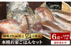 福岡 糸島 地魚 6点 セット（ 鯛 / 干物 / フィレ / わかめ ）《糸島》【徳栄丸】[APD008]