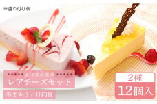 レアチーズケーキ( あまおう/ 日向夏 ) ケーキ 2種12個 冷凍 糸島市 / 五洋食品産業 [AQD008]