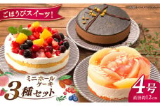 フルーツ / チョコムース / レアチーズ ホールケーキ 3種 冷凍 糸島市 / 五洋食品産業 [AQD017] ランキング 上位 人気 おすすめ