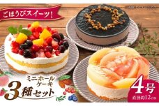 フルーツ / チョコムース / レアチーズ ホールケーキ 3種 冷凍 糸島市 / 五洋食品産業 [AQD017] ランキング 上位 人気 おすすめ