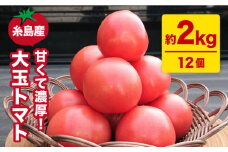 【甘くて濃厚】大玉 トマト 2kg 糸島産 《糸島》 【大櫛トマトファーム】 [AQH001]