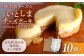 糸島の無添加チーズケーキ♪