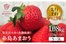  糸島の美味い あまおう 270g × 4パック (A品B品含むS～5L 糸島市 / 磯本農園 / TANNAL [ATB004] いちご 苺 イチゴ