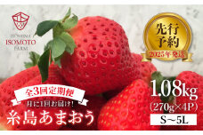【月1回・全3回定期便】糸島 あまおう 270g×4パック [2025年1月～3月にて順次発送] (A品B品含むS～５L) 糸島市 / 磯本農園 / TANNAL イチゴ/いちご [ATB011] ランキング 上位 人気 おすすめ
