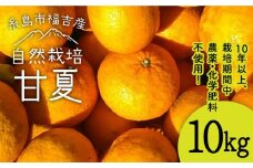 甘夏 10kg 【 農薬 ・ 化学肥料不使用 】糸島市 / 大石ファーム[ATE004]