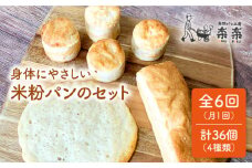 【全6回定期便】身体にやさしい 米粉 パン の セット 《糸島》【天然パン工房楽楽】【いとしまごころ】[AVC050]