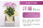 ご自宅用からプレゼント用まで！日常を彩るお花。 
