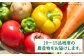 旬 季節 野菜 詰め合わせ セット 糸島野菜 直売所