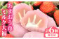 敬老の日 大福 いちご イチゴ ミルク フルーツ クリーム大福 和菓子 母の日