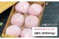 敬老の日 大福 いちご イチゴ ミルク フルーツ クリーム大福 和菓子 母の日