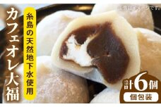 糸島 カフェオレ 大福 6個  糸島市 / 糸島だんご本舗　和菓子 コーヒー [AWF004]