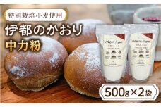 特別 栽培 小麦 使用「 伊都のかおり 」 500g × 2袋 《糸島》【天然パン工房楽楽】 【いとしまごころ】[AVC052]