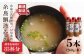 味噌 鯛 液体みそ 朝食 無添加 朝食 真鯛 味噌 みそしる みそ汁