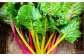 大人気の福袋、季節の旬野菜と糸島の特産加工品を詰め合わせ